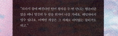 여름에 읽기 좋은 한국 여성작가 소설 5편 | 인스티즈