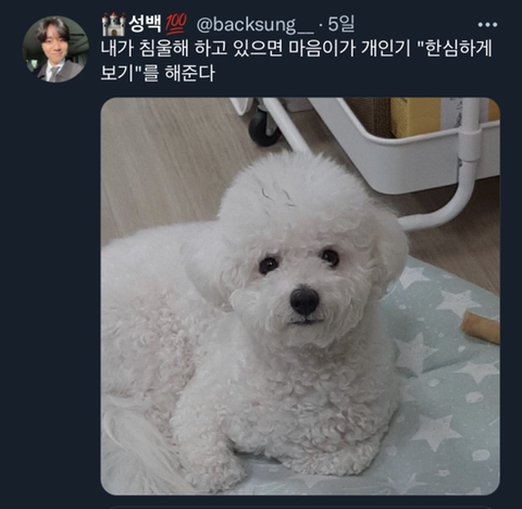 내가 침울해 하고 있으면 -가 -해준다 .twt | 인스티즈