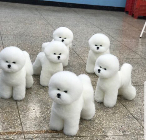 술떡(증편) 상온에 보관하면 안되는 이유....jpg | 인스티즈