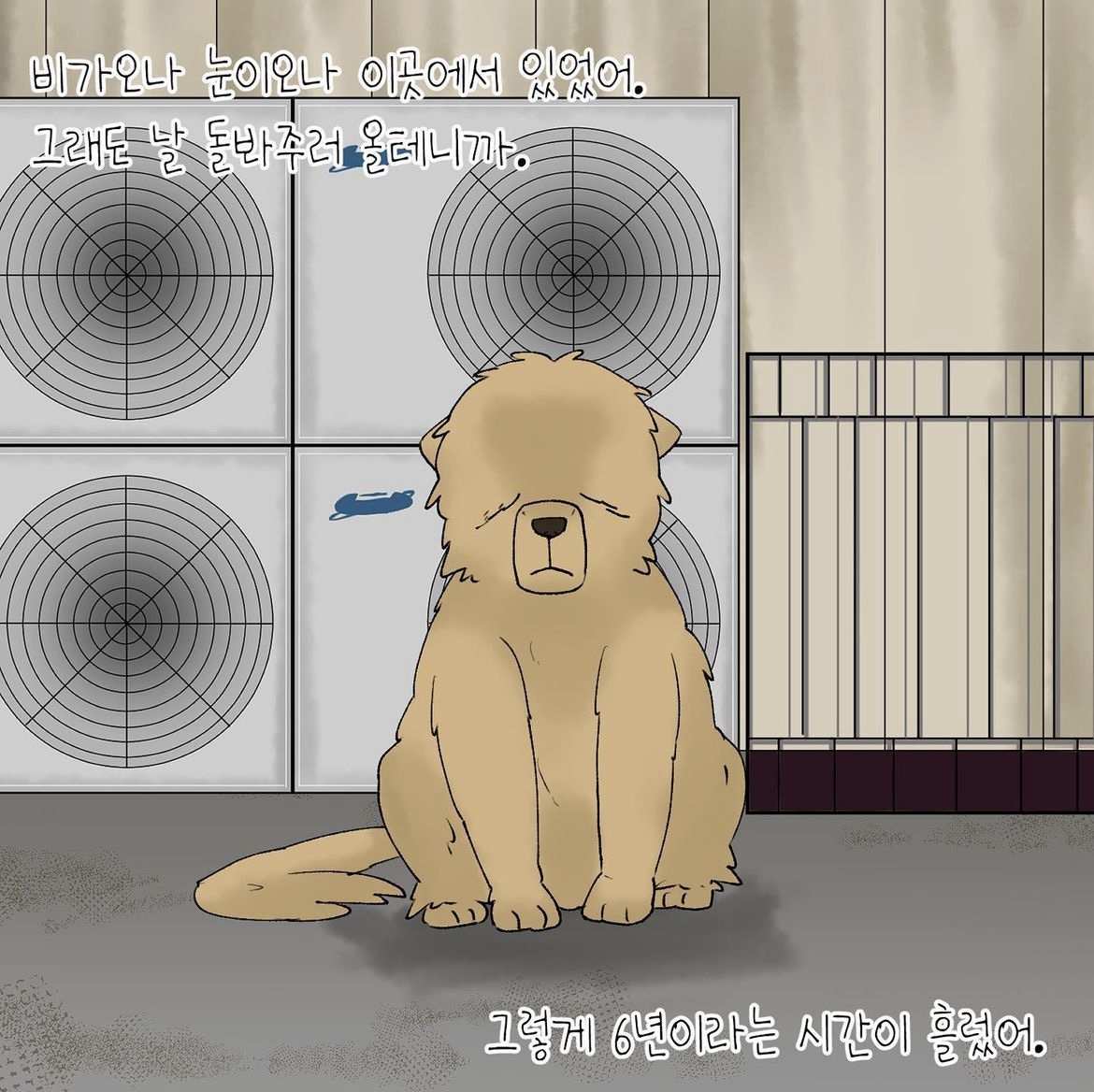 어느 팬(fan)의 선물로 시작된 테디의 안타까운 이야기 | 인스티즈