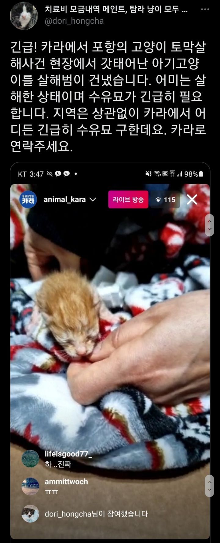 포항 20대 남 폐양어장 수십마리 고양이 해부 및 토막살인 사건 (사진없음/공론화 부탁) | 인스티즈