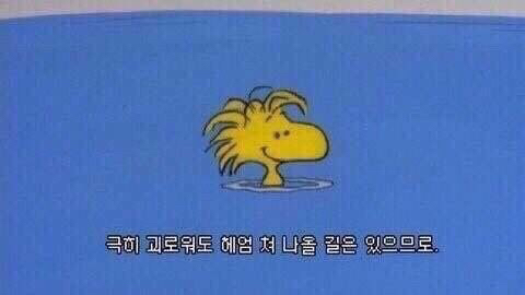 뭔가 이상하게 위로가 되는 짤들.jpg | 인스티즈