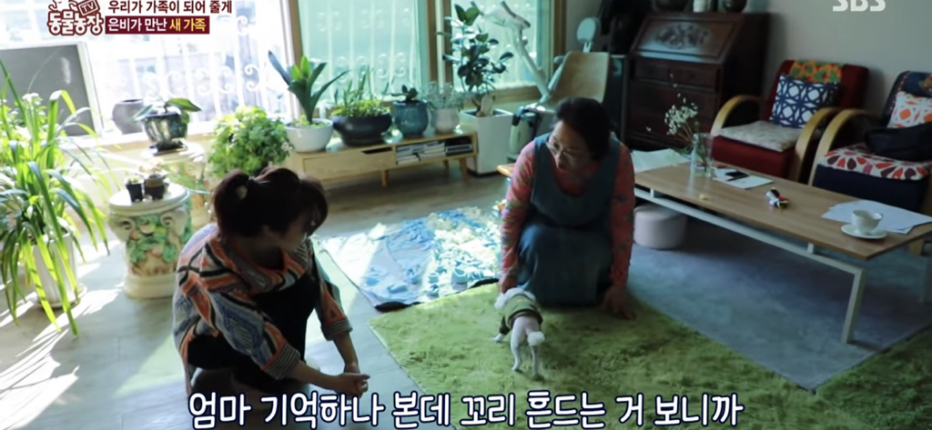 서로를 위해 헤어지는 할머니와 은비 | 인스티즈