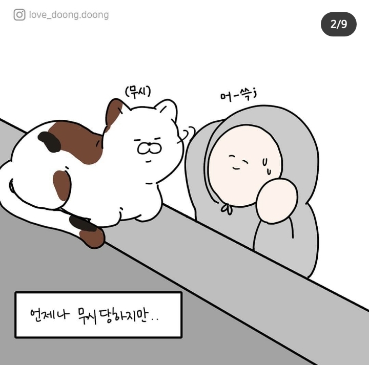 고양이랑 대화하는 방법.jpg | 인스티즈