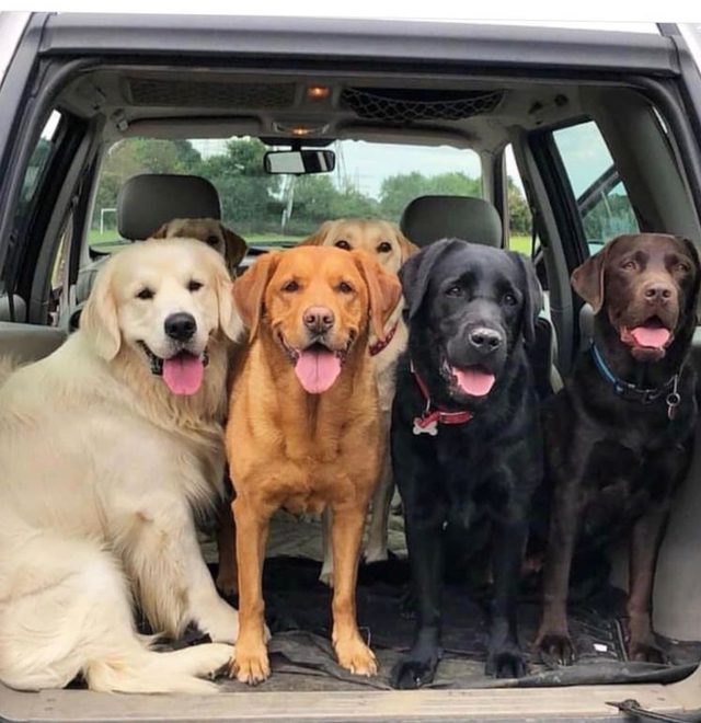 요정 : 여기서 혼자 한달간 숙박하면 5억 지급 | 인스티즈