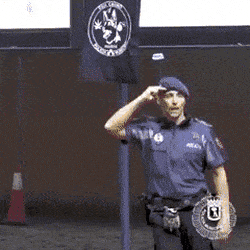 쓰러진 사람에게 CPR 시도하는 경찰견.gif | 인스티즈