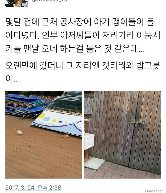 공사장에 고양이가 돌아다녀서 화가난 아저씨들 | 인스티즈