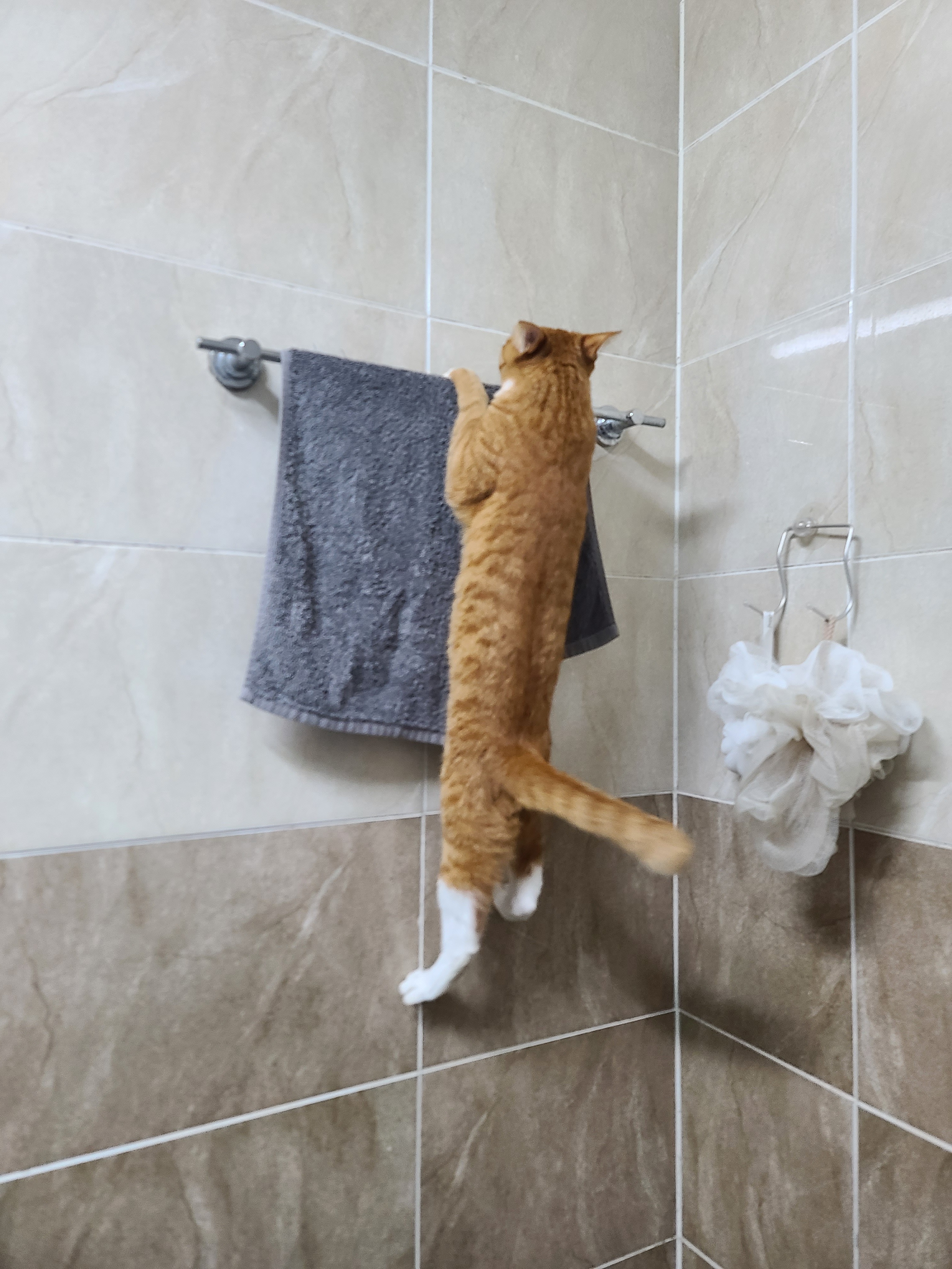 가... | 인스티즈