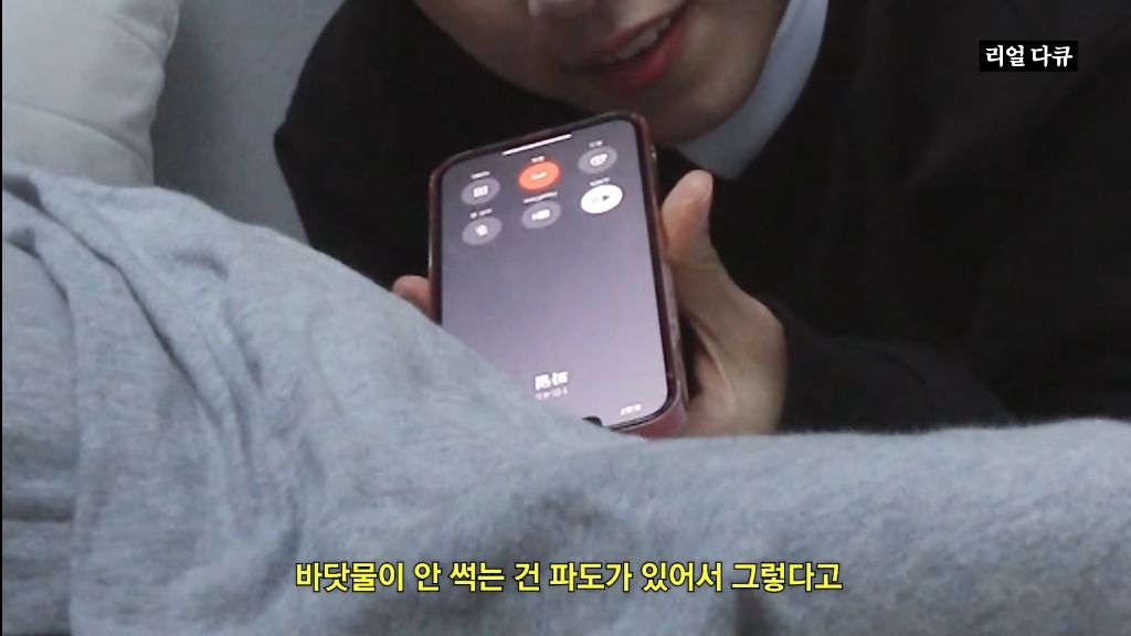 재재 이미지