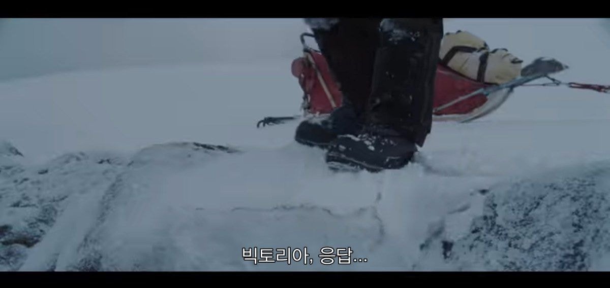 같이 남극 탐험하는 사람이 금방 돌아 온댔는데 폭풍으로 못온대 | 인스티즈