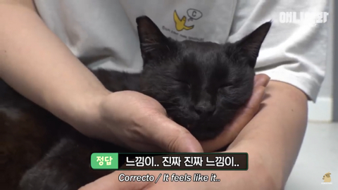 밤낮없이 집 도어락을 누르는 누군가때문에 고민인 부부 | 인스티즈