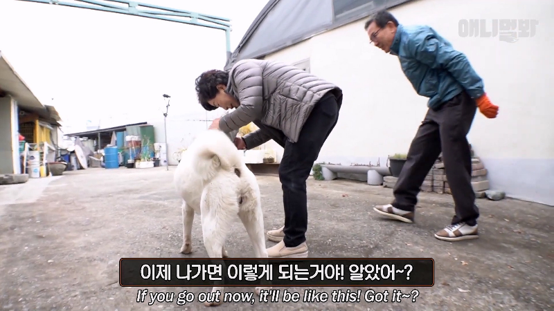 강아지가 매일 틈만나면 가출을 했던 이유...jpg | 인스티즈