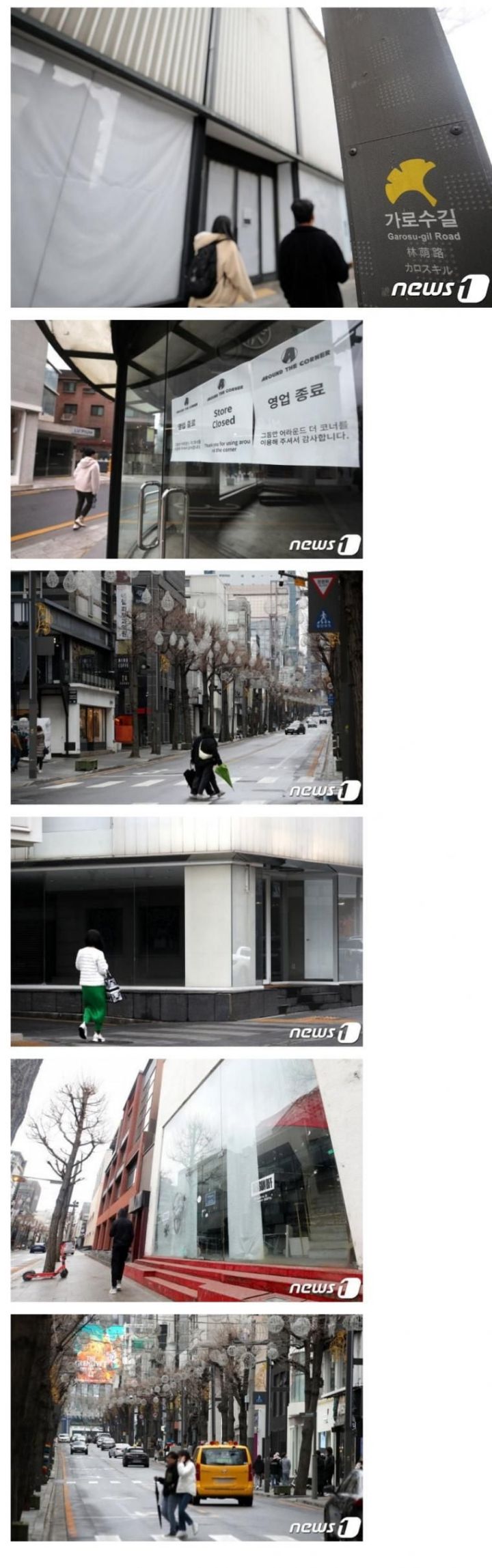 신사동 가로수길 근황 | 인스티즈