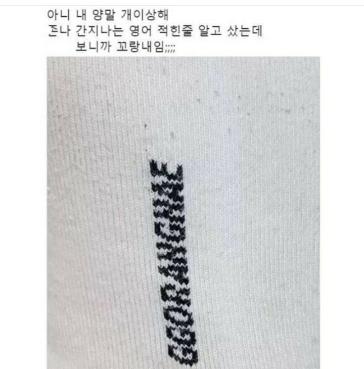 이 중에 하나는 여시들 배꼽이 빠지게 웃겨주겠지? 하나만 걸려라 1탄 | 인스티즈