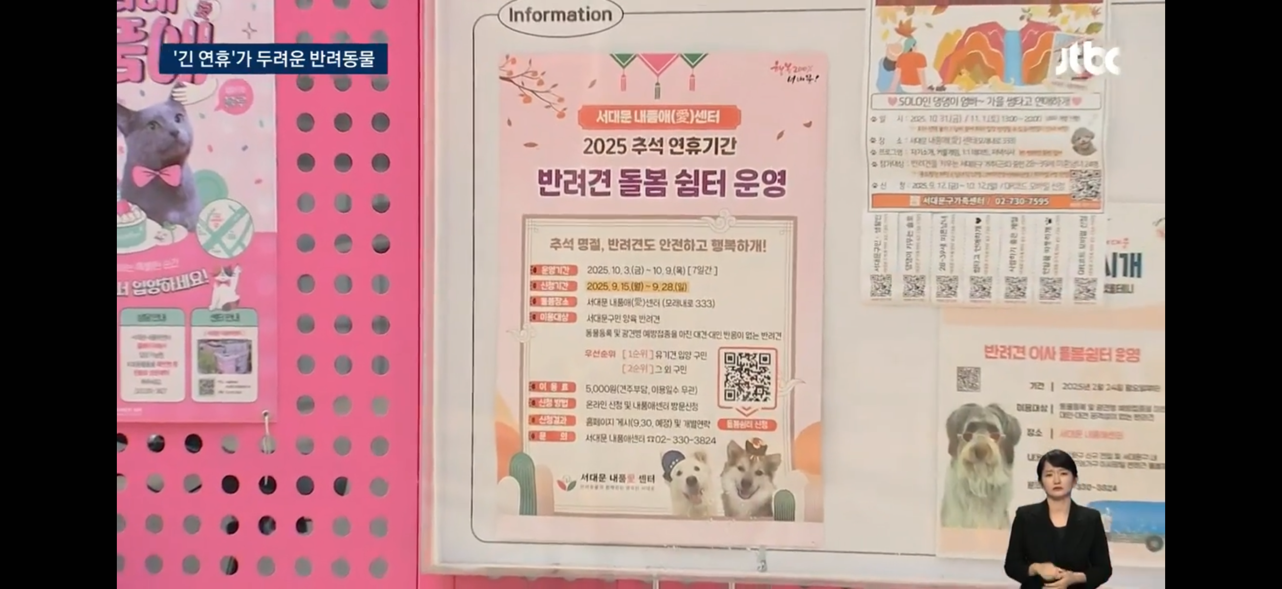 '맡길 데 없네' 그대로 거리에…긴 연휴가 두려운 반려동물 | 인스티즈