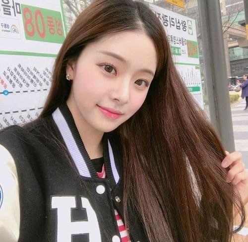 프리지아 이미지