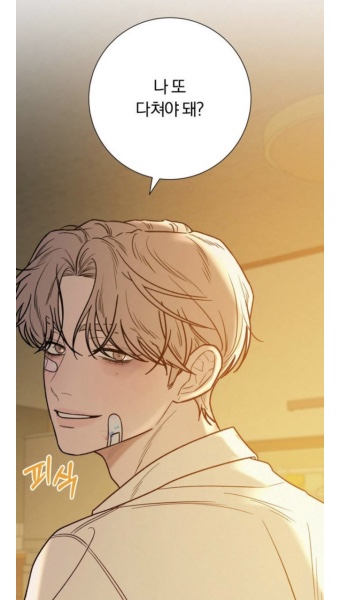 진지하게 얼굴로만 보면 고은혁 백도화 중에 누가 취향인지 말해보는 달글 | 인스티즈