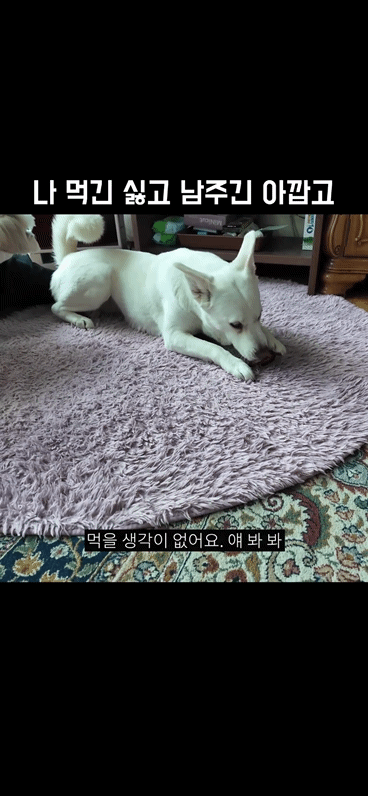 22만 유튜버 강복순 인성논란 | 인스티즈