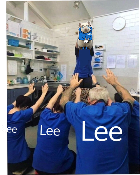 우리가 더욱더 뇌빼고 무지성(아묻따)지지 해야하는 이유 | 인스티즈