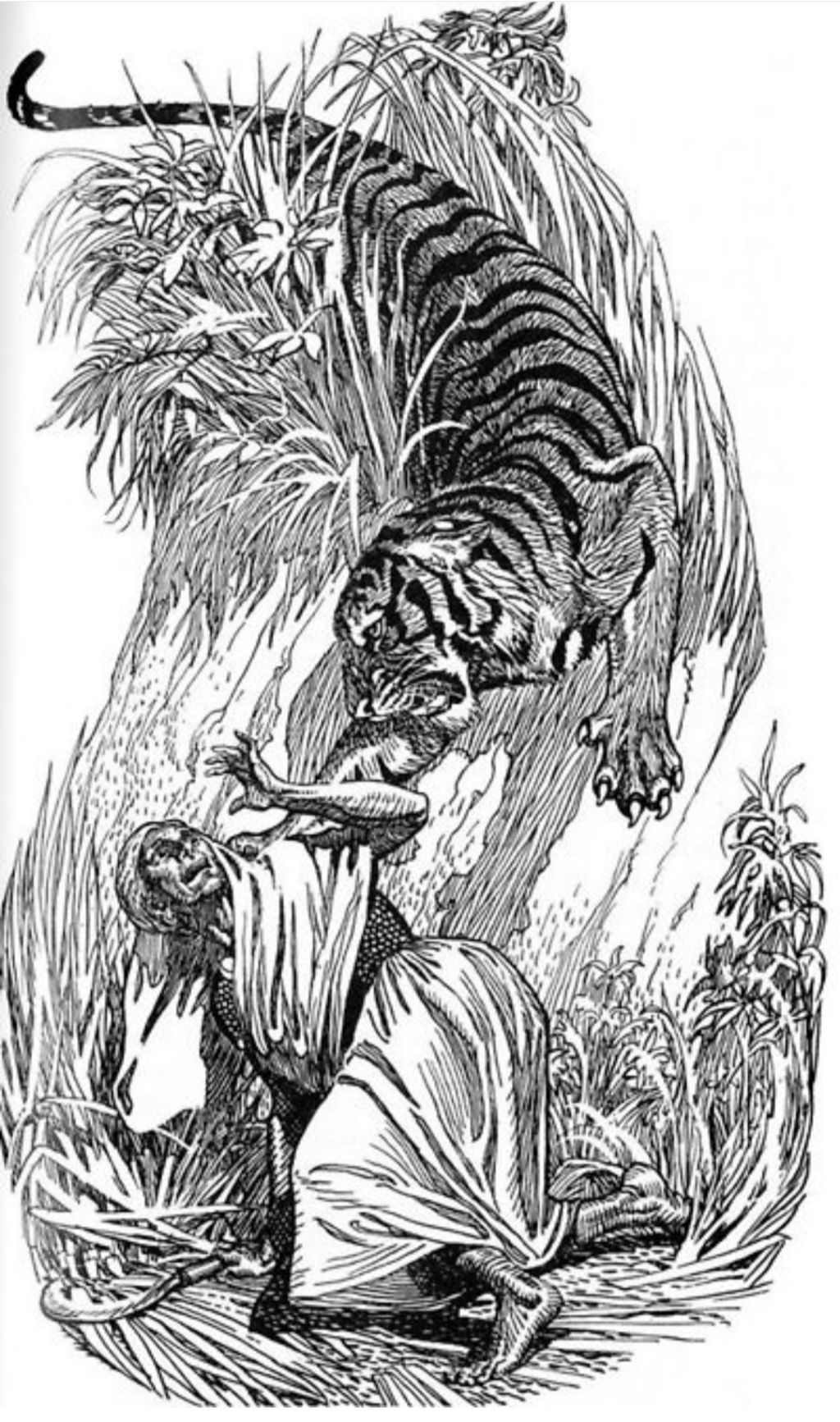 인도와 네팔을 다니며 약 400여명을 죽인 호랑이 | 인스티즈