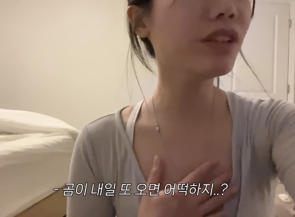 미국 이민갔는데 집에서 곰 나옴… | 인스티즈