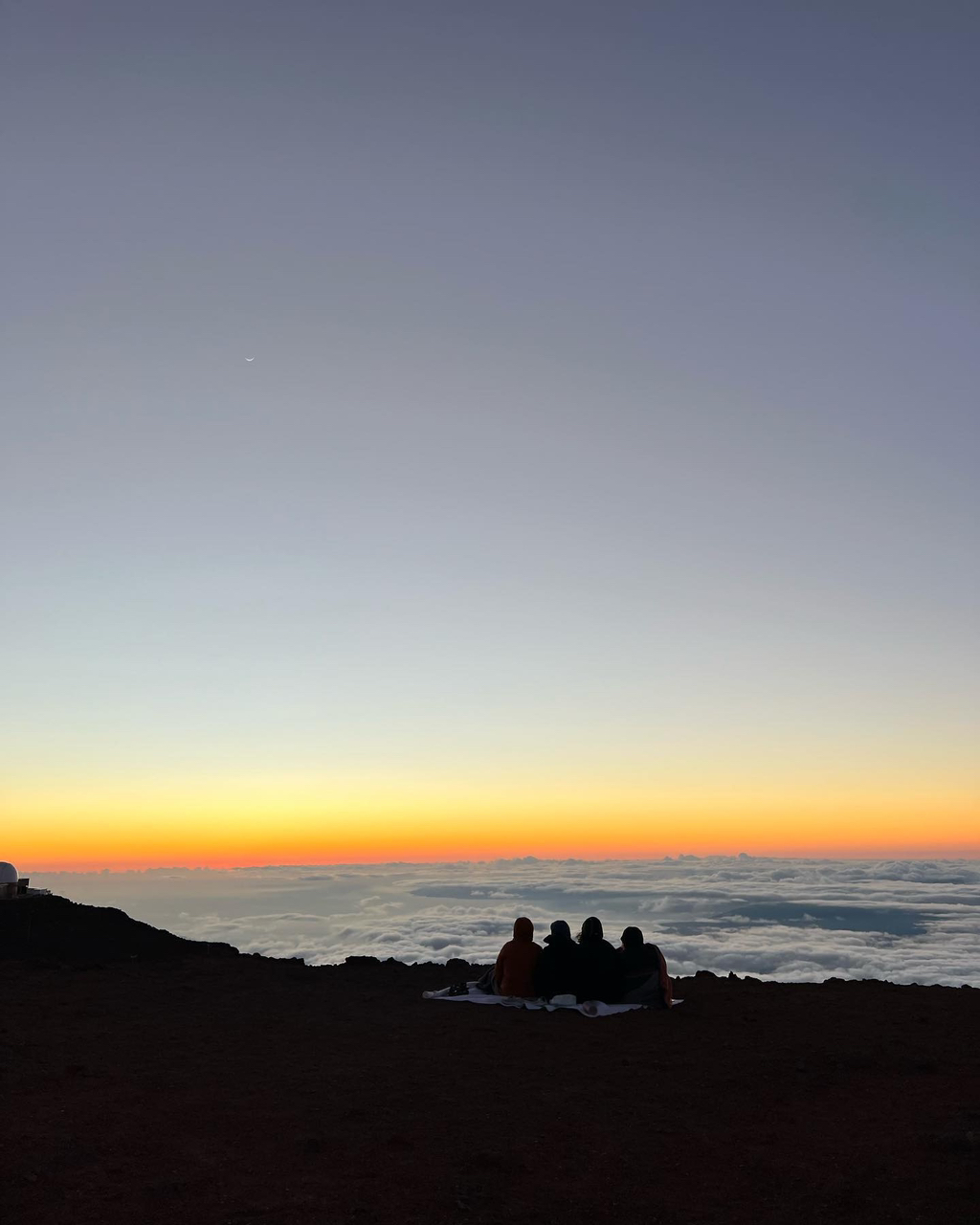 하와이에 사는 사람들이 올린 사진들 | 인스티즈