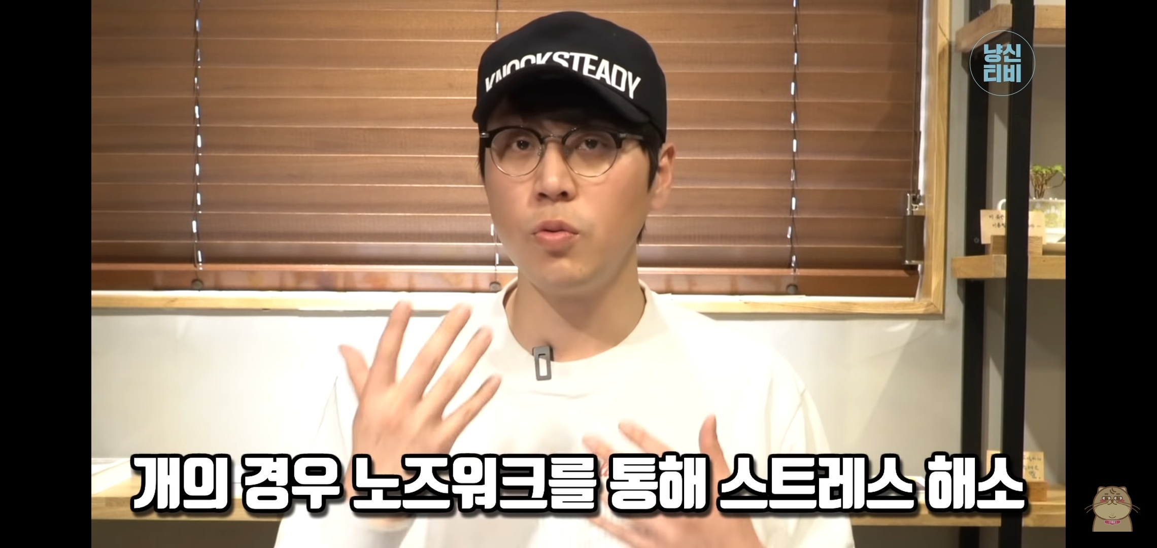 고양이 산책? 하지마!!!!! | 인스티즈