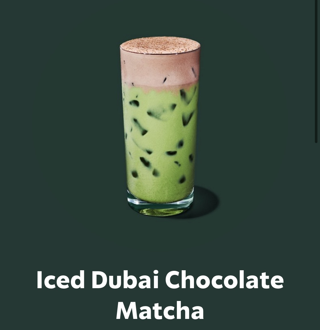 미국, 캐나다 스타벅스에 출시된 두바이 시리즈 음료 - 악플달면 쩌리쩌려버려 - ＊여성시대＊ 차분한 20대들의 알흠다운 공간