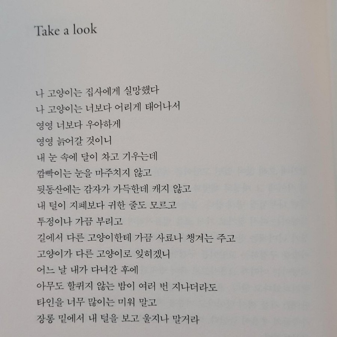 사랑이란 슬픔을 키우는 것 | 인스티즈