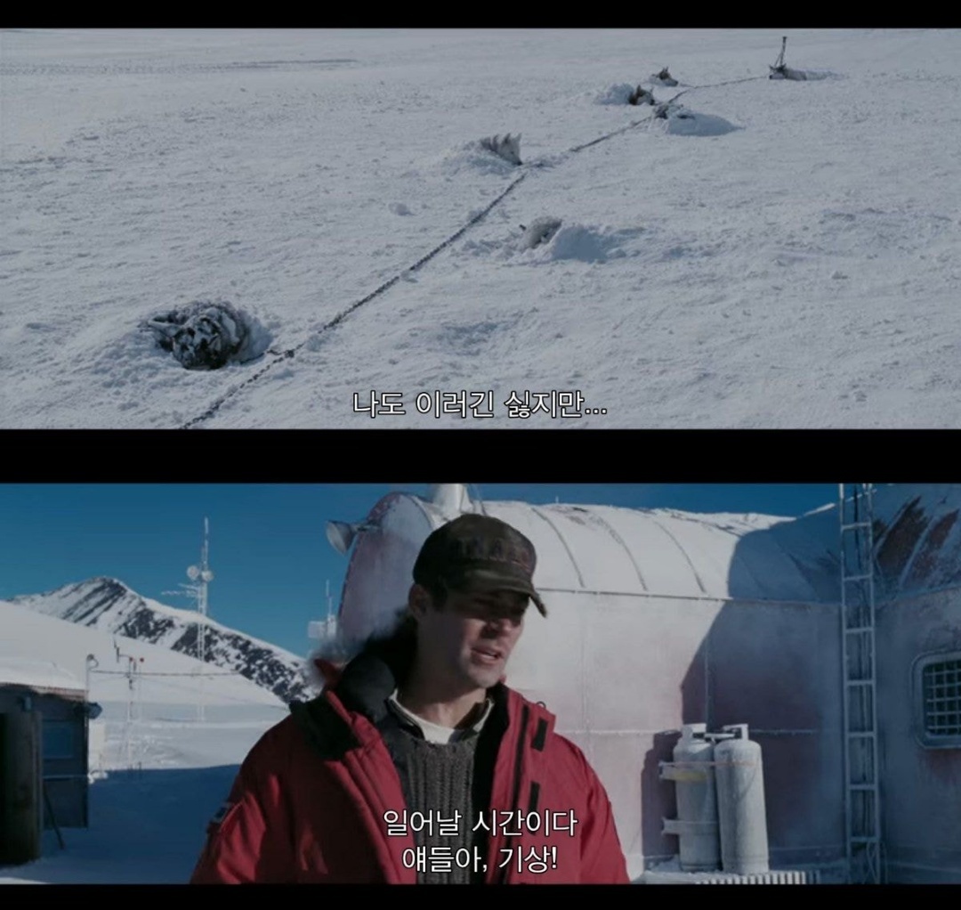 같이 남극 탐험하는 사람이 금방 돌아 온댔는데 폭풍으로 못온대 | 인스티즈