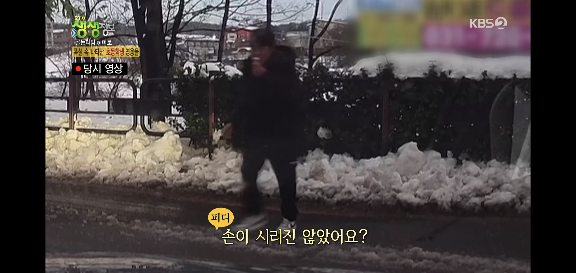 방금 생생정보통에 저번 폭설에 이슈였던 여시 나옴.jpg | 인스티즈