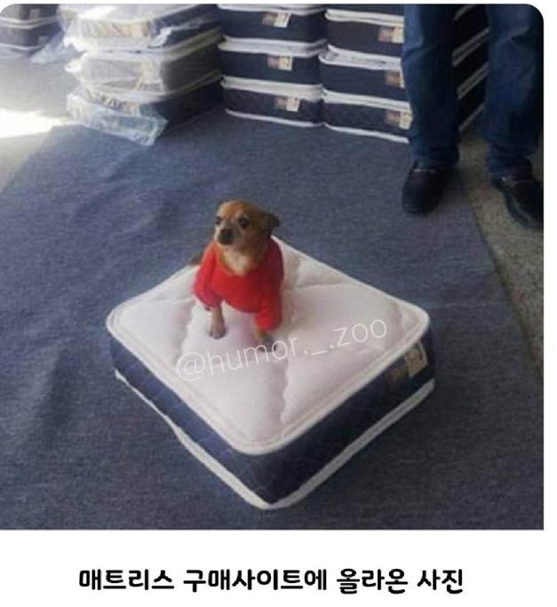 이 집 장사 잘하네 | 인스티즈