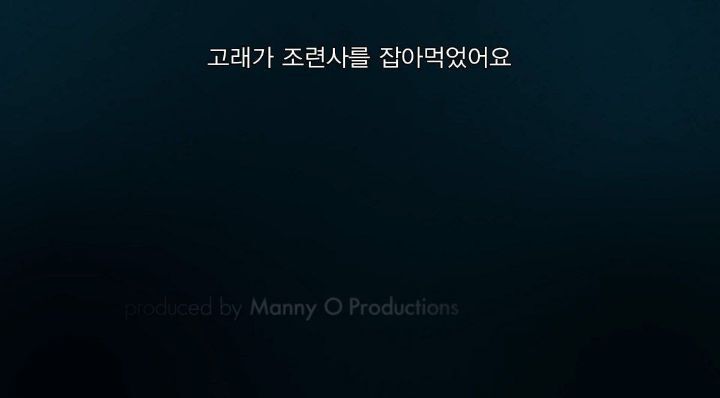 어느날 소방서에 고래가 조련사를 잡아 먹었다는 신고가 들어왔다 .jpg (스압주의) | 인스티즈