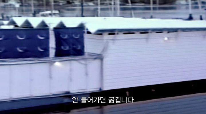 어느날 소방서에 고래가 조련사를 잡아 먹었다는 신고가 들어왔다 .jpg (스압주의) | 인스티즈