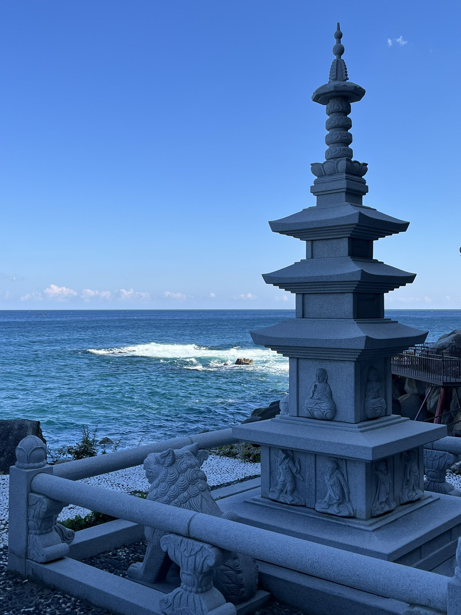 합격기원하러 절에 갔는데 아기 고양이 얻어왔어요 | 인스티즈