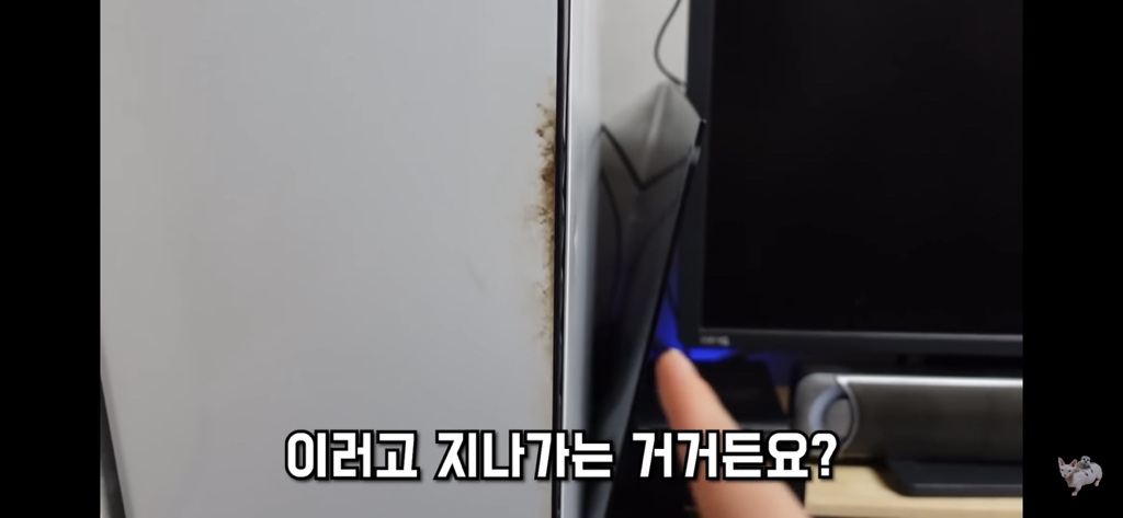 털이 없는 스핑크스는 키우기 편할까? (위생주의) | 인스티즈