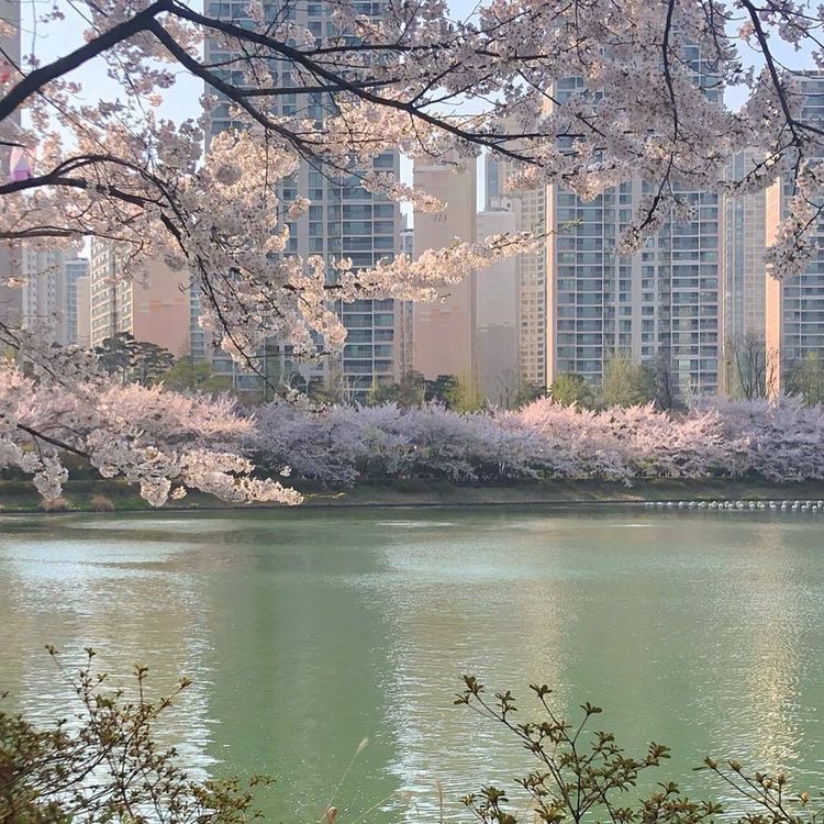 내가 사랑한 한국 | 인스티즈