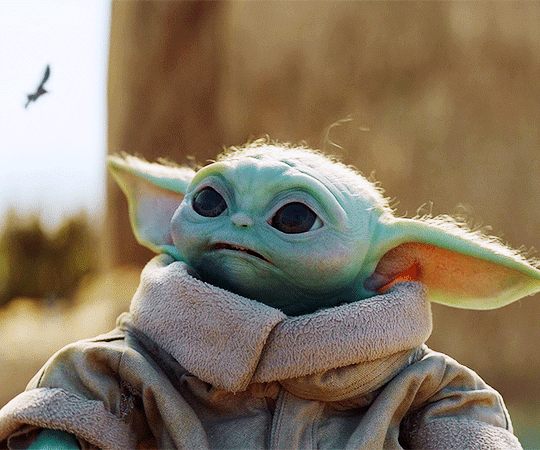 50살짜리 현상 수배자를 잡았는데 알고 보니 어린 아기였어요 gif | 인스티즈