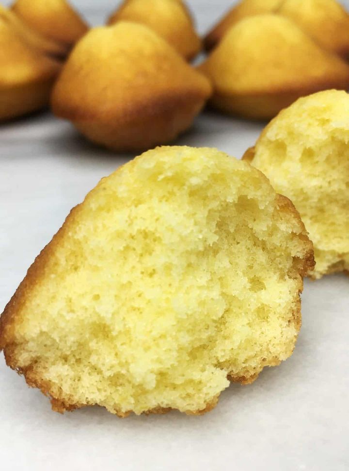 마들렌 Madeleine | 인스티즈