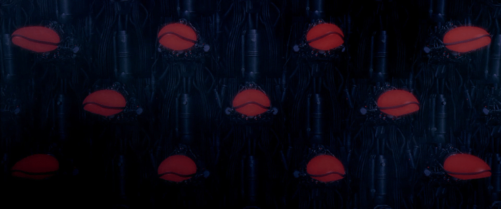 어이없지만 인간이 태양을 없애버린 이유.jpg (엥 이게 이거라고⁉️) | 인스티즈