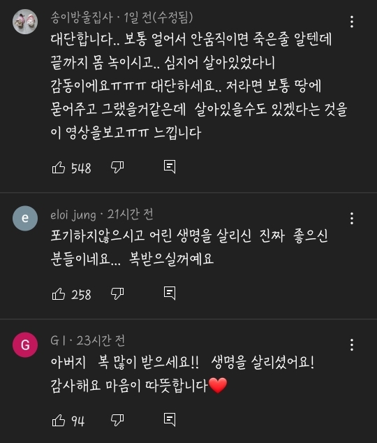 얼어죽어있던 아기고양이를 녹였더니.. | 인스티즈