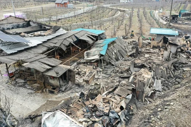"도시 싫다고 3주전 귀향하셨는데"…영덕 100세 사망자 유족 오열 | 인스티즈
