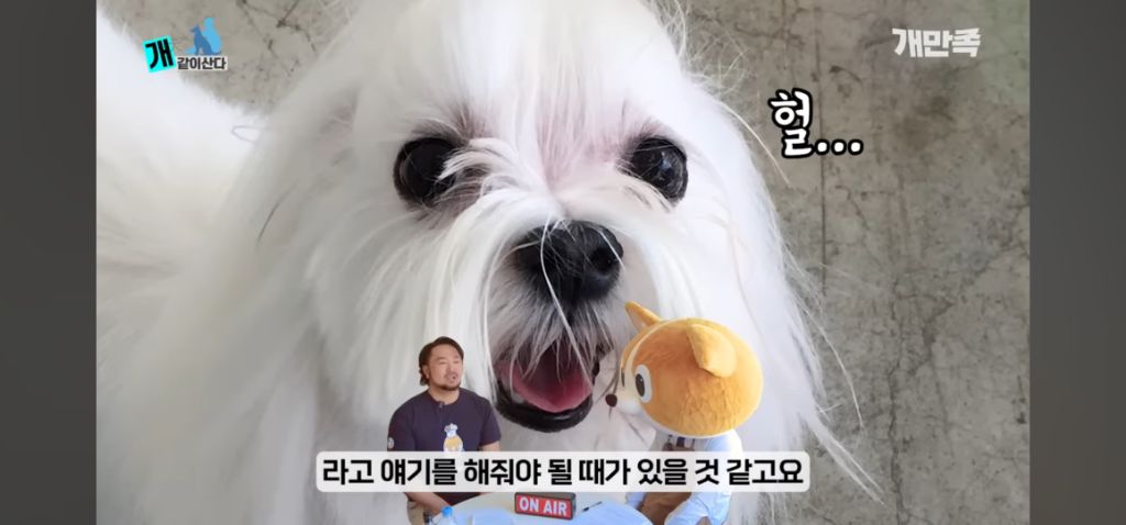 어느 수의사가 고백하지 못한 출생의 비밀 | 인스티즈
