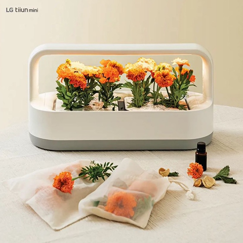 내가 사고 싶어서 찾아본 LG 틔운 미니 (가정 식물 재배기) | 인스티즈