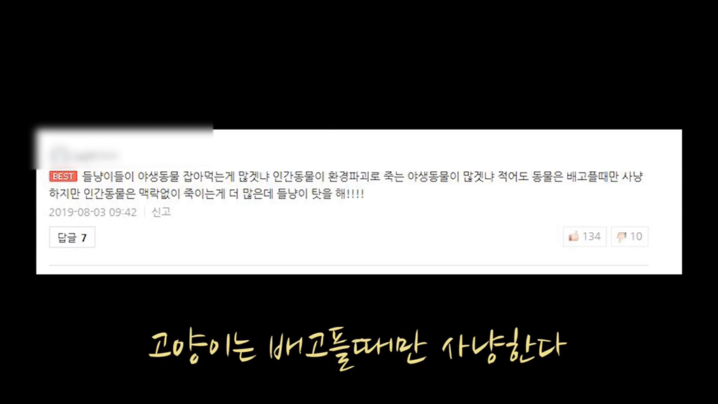 고양이가 자연생태계에 끼치는 심각한 영향(새 사체사진있음) | 인스티즈