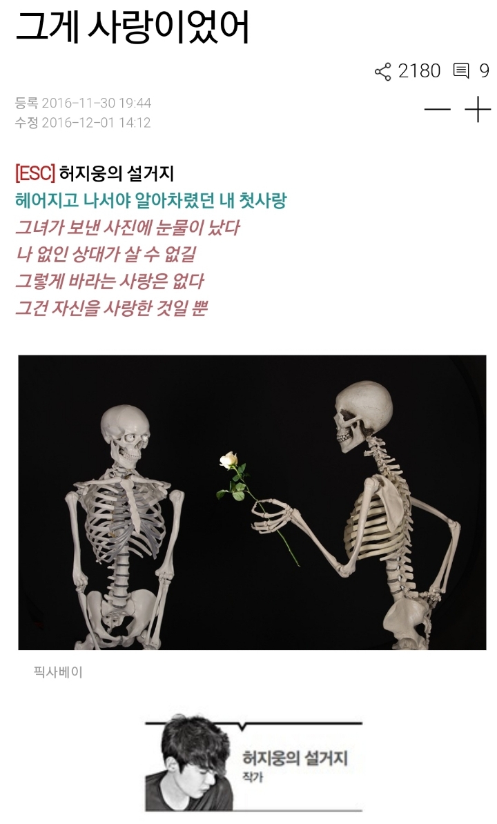 [허지웅 에세이] 그게 사랑이었어 | 인스티즈