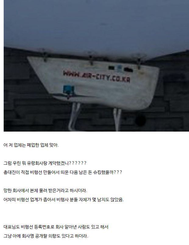 원신 비행선 주최자 해명글 🤭 | 인스티즈