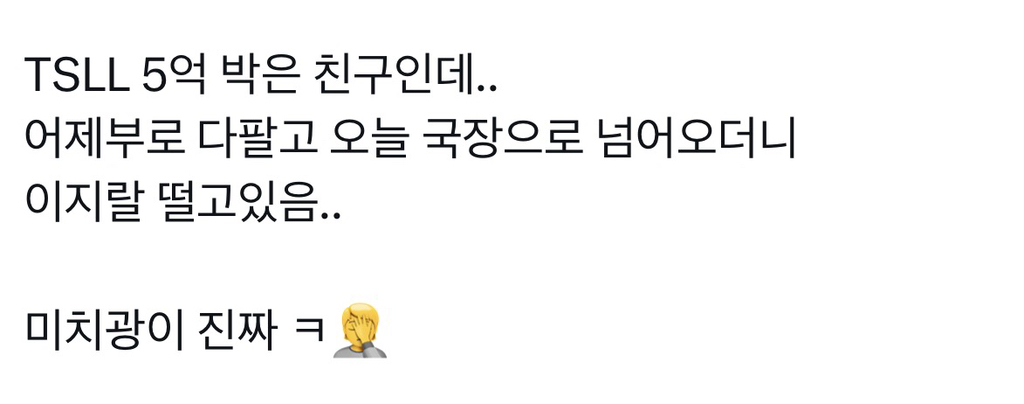 테슬라 2배 레버리지 매도하고 국장 넘어온 사람의 카톡 상태 | 인스티즈