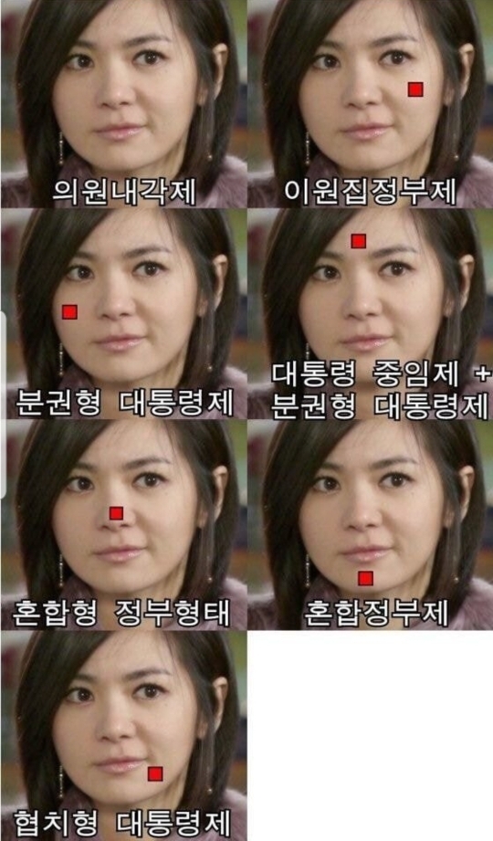 의원 내각제 유사어 | 인스티즈