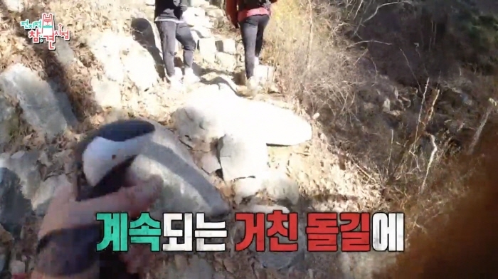 72f25b326739405cd6c43552826332ed86a73e3b